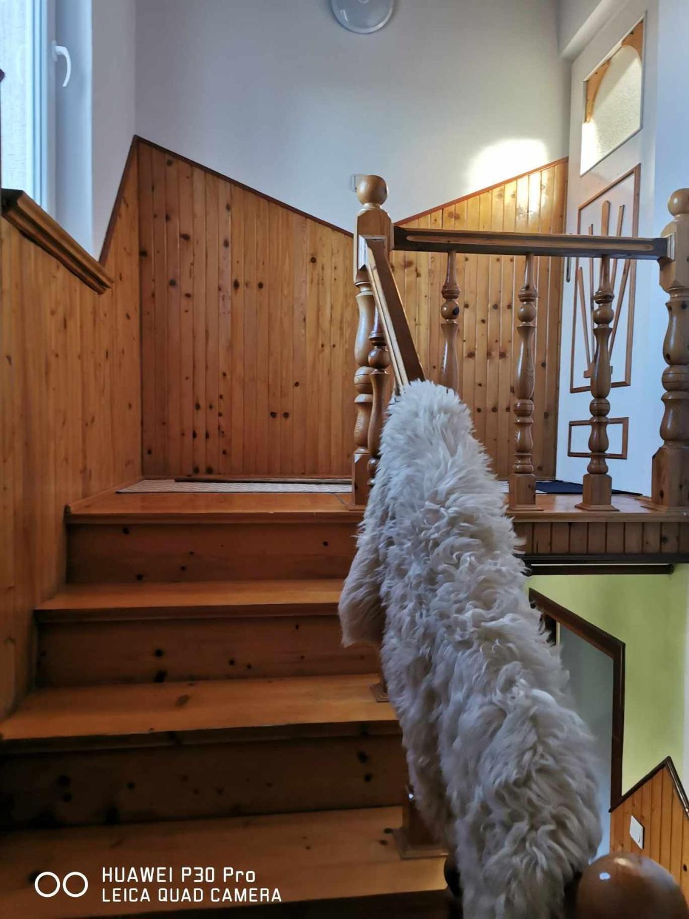 Na Dziole Villa Lipnica Wielka Екстериор снимка